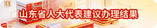 山东省人大代表建议办理结果