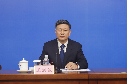 省医保局规划财务和法规处处长 王洪波